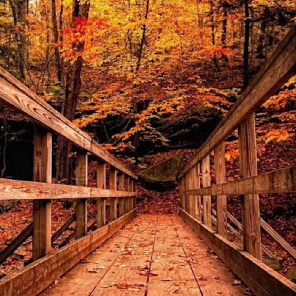 Meet your Posher, Kamryn